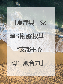 夏津县：党建引领强根基 “支部主心骨”聚合力