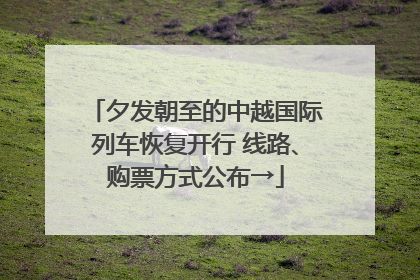 夕发朝至的中越国际列车恢复开行 线路、购票方式公布→