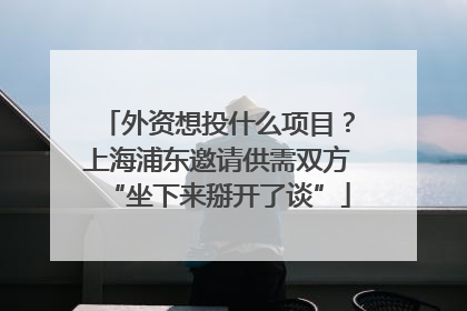 外资想投什么项目？上海浦东邀请供需双方“坐下来掰开了谈”