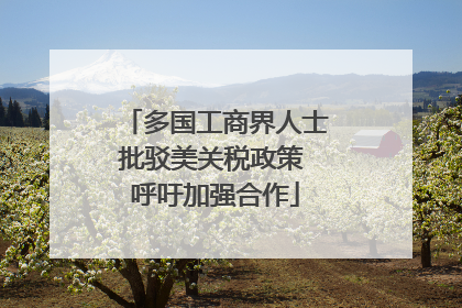 多国工商界人士批驳美关税政策 呼吁加强合作