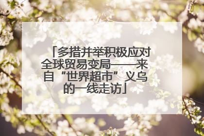 多措并举积极应对全球贸易变局——来自“世界超市”义乌的一线走访