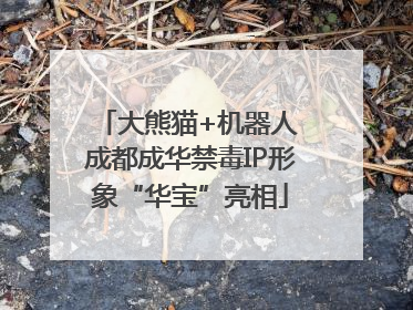 大熊猫+机器人 成都成华禁毒IP形象“华宝”亮相