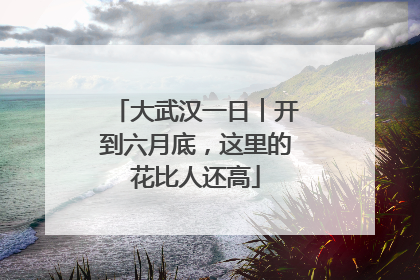 大武汉一日︱开到六月底，这里的花比人还高