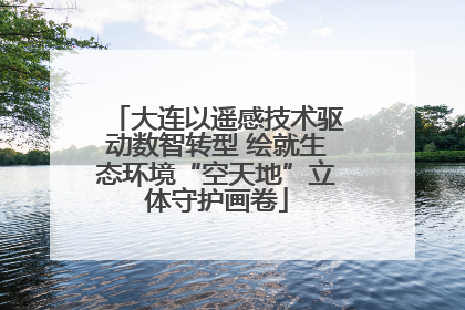 大连以遥感技术驱动数智转型 绘就生态环境“空天地”立体守护画卷