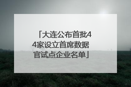 大连公布首批44家设立首席数据官试点企业名单