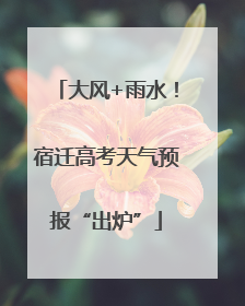 大风+雨水！宿迁高考天气预报“出炉”