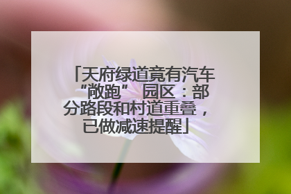 天府绿道竟有汽车“敞跑” 园区：部分路段和村道重叠，已做减速提醒