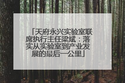 天府永兴实验室联席执行主任梁斌：落实从实验室到产业发展的最后一公里