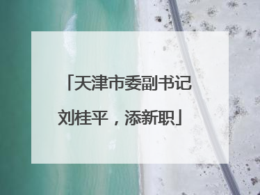 天津市委副书记刘桂平，添新职