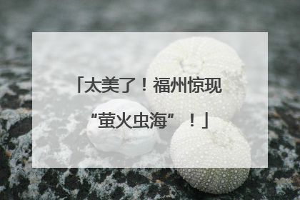 太美了！福州惊现“萤火虫海”！