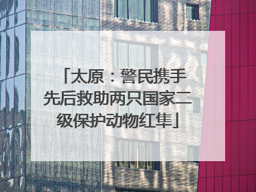 太原：警民携手 先后救助两只国家二级保护动物红隼