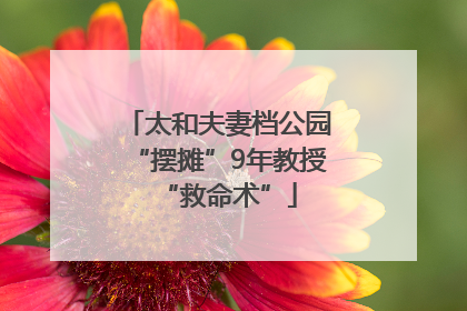 太和夫妻档公园“摆摊”9年教授“救命术”