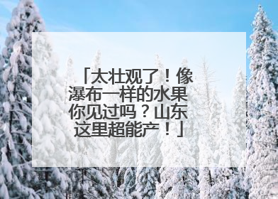 太壮观了！像瀑布一样的水果你见过吗？山东这里超能产！