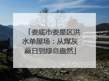 娄底市娄星区洪水单屋场：从煤灰蔽日到绿意盎然
