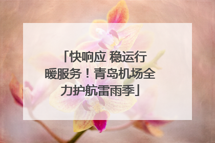 快响应 稳运行 暖服务！青岛机场全力护航雷雨季