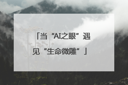 当“AI之眼”遇见“生命微雕”