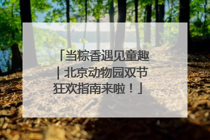 当粽香遇见童趣｜北京动物园双节狂欢指南来啦！
