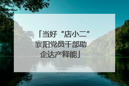 当好“店小二” 襄阳党员干部助企达产释能