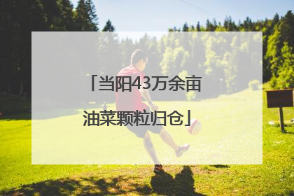 当阳43万余亩油菜颗粒归仓