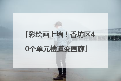 彩绘画上墙！香坊区40个单元楼道变画廊