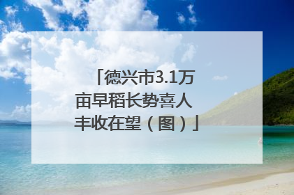 德兴市3.1万亩早稻长势喜人 丰收在望（图）