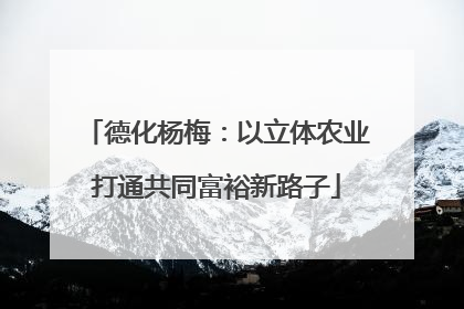 德化杨梅：以立体农业打通共同富裕新路子