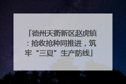 德州天衢新区赵虎镇：抢收抢种同推进，筑牢“三夏”生产防线