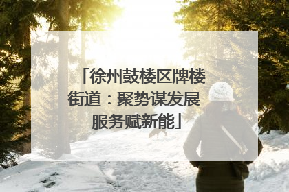 徐州鼓楼区牌楼街道：聚势谋发展 服务赋新能