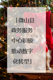 微山县政务服务中心积极推动数字化转型