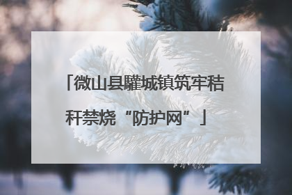 微山县驩城镇筑牢秸秆禁烧“防护网”