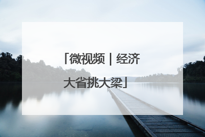 微视频｜经济大省挑大梁