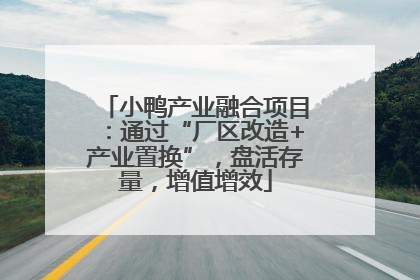 小鸭产业融合项目：通过“厂区改造+产业置换”，盘活存量，增值增效