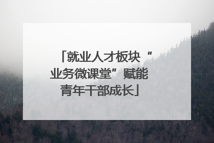 就业人才板块“业务微课堂”赋能青年干部成长
