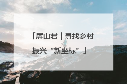 屏山君｜寻找乡村振兴“新坐标”