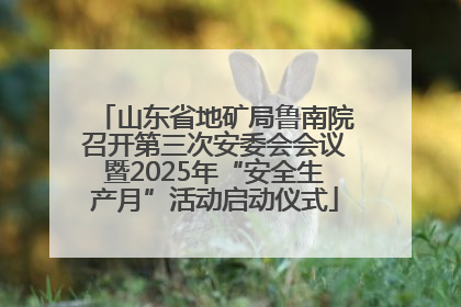 山东省地矿局鲁南院召开第三次安委会会议暨2025年“安全生产月”活动启动仪式