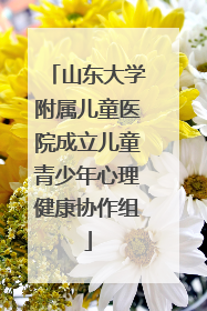 山东大学附属儿童医院成立儿童青少年心理健康协作组