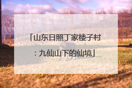 山东日照丁家楼子村：九仙山下的仙境