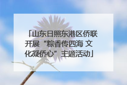 山东日照东港区侨联开展“粽香传四海 文化凝侨心”主题活动