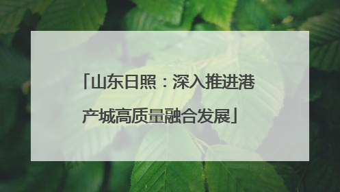 山东日照：深入推进港产城高质量融合发展