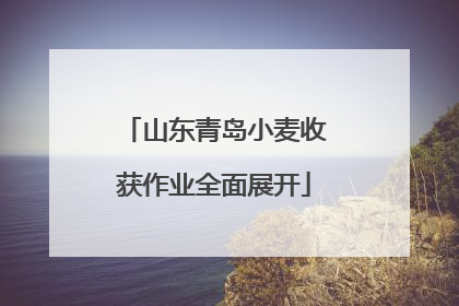 山东青岛小麦收获作业全面展开