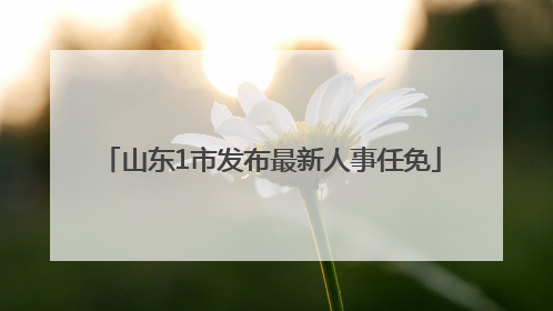 山东1市发布最新人事任免