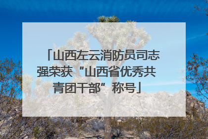 山西左云消防员司志强荣获“山西省优秀共青团干部”称号