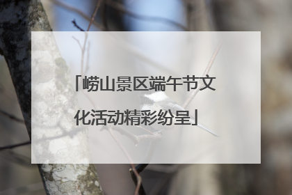 崂山景区端午节文化活动精彩纷呈