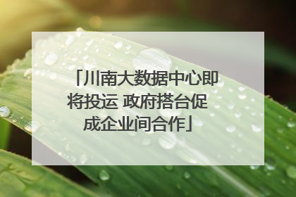 川南大数据中心即将投运 政府搭台促成企业间合作