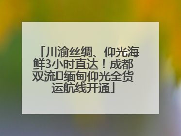 川渝丝绸、仰光海鲜3小时直达！成都双流⇌缅甸仰光全货运航线开通