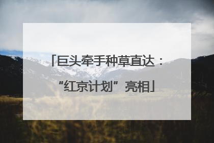 巨头牵手种草直达：“红京计划”亮相