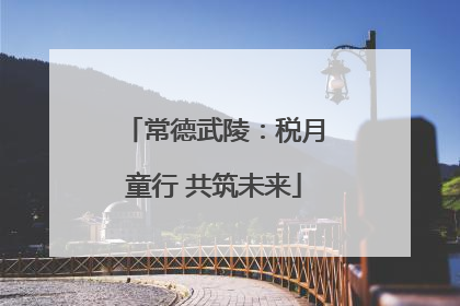 常德武陵：税月童行 共筑未来