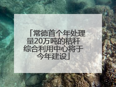 常德首个年处理量20万吨的秸秆综合利用中心将于今年建设