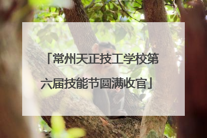 常州天正技工学校第六届技能节圆满收官