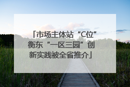 市场主体站“C位” 衡东“一区三园”创新实践被全省推介